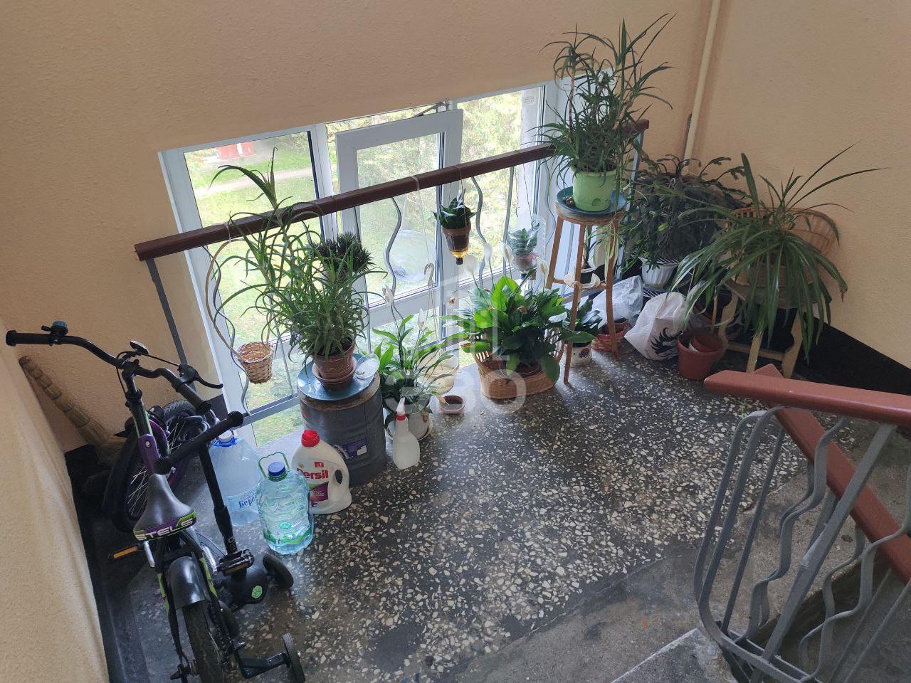 однокомнатная квартира в Санкт-Петербурге по адресу: Типанова ул., 10