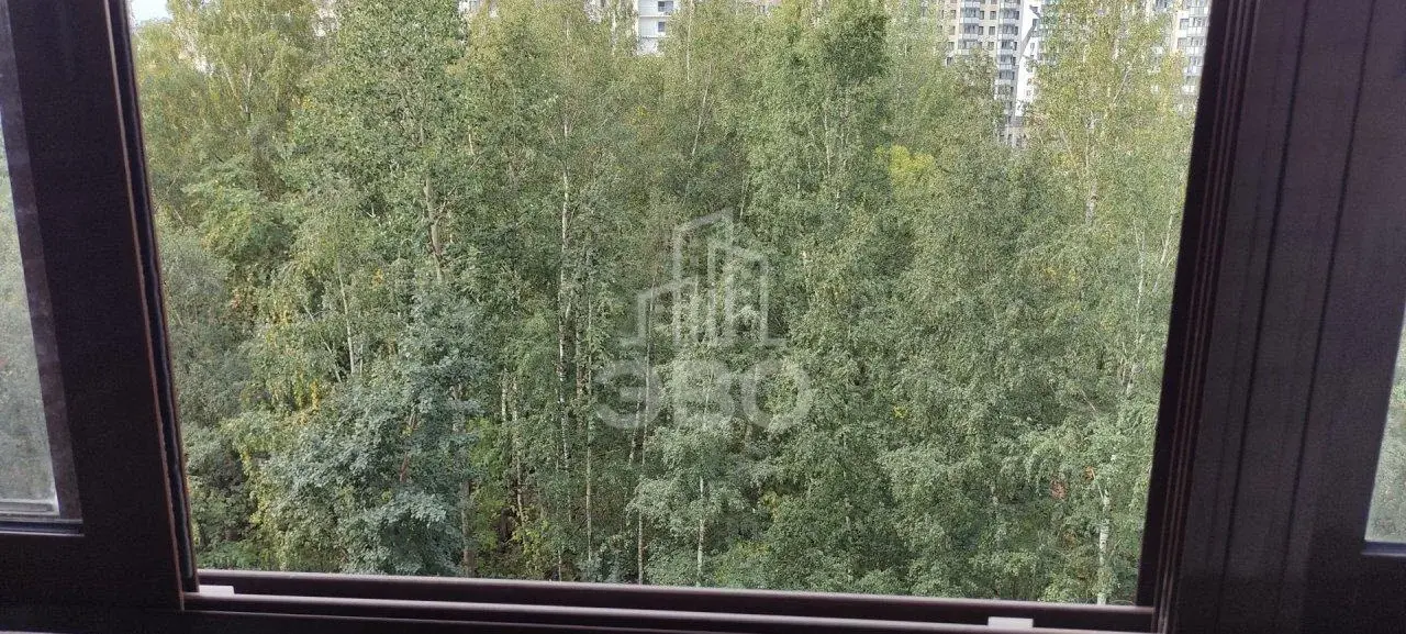 однокомнатная квартира в Санкт-Петербурге по адресу: Итальянский пер., 4