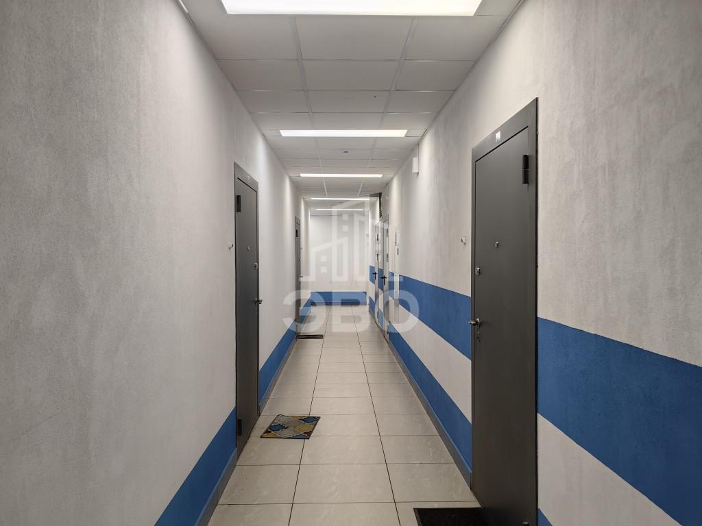 однокомнатная квартира в Санкт-Петербурге по адресу: Адмирала Черокова ул., 20