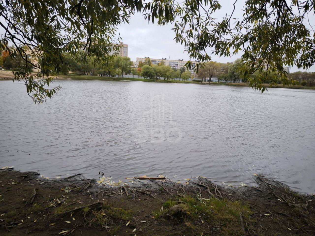 однокомнатная квартира в Санкт-Петербурге по адресу: Ивана Фомина ул., 13, к 1