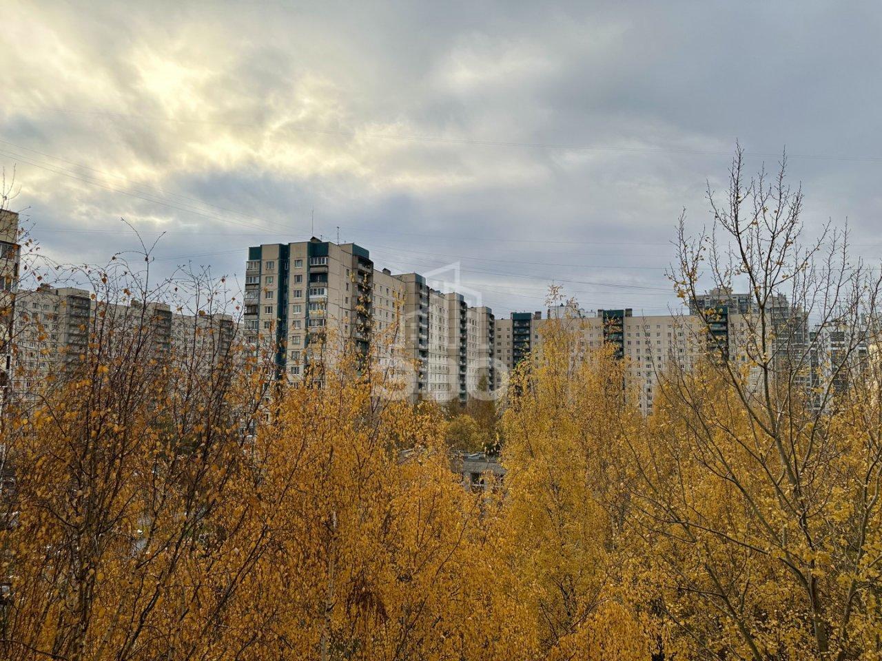 однокомнатная квартира в Санкт-Петербурге по адресу: Хошимина ул., 10