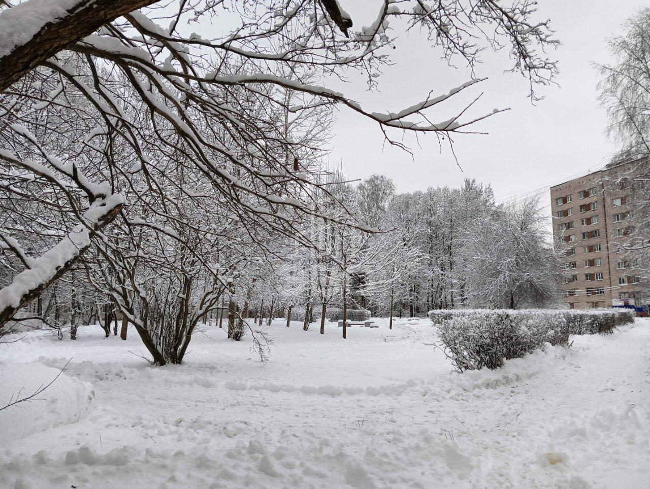 однокомнатная квартира в Санкт-Петербурге по адресу: Полюстровский проспект, 9