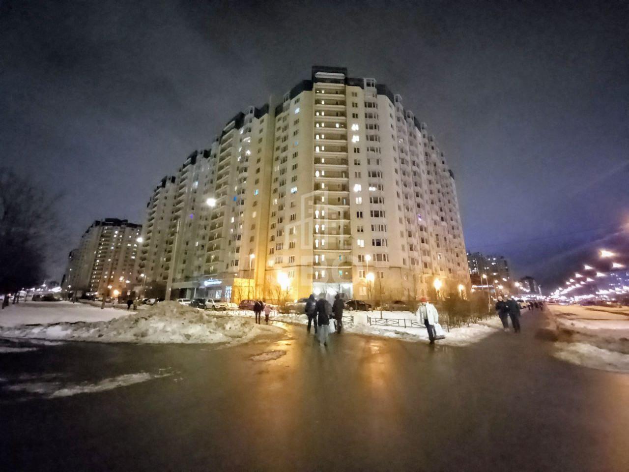 однокомнатная квартира в Санкт-Петербурге по адресу: Богатырский проспект, 52, к 1