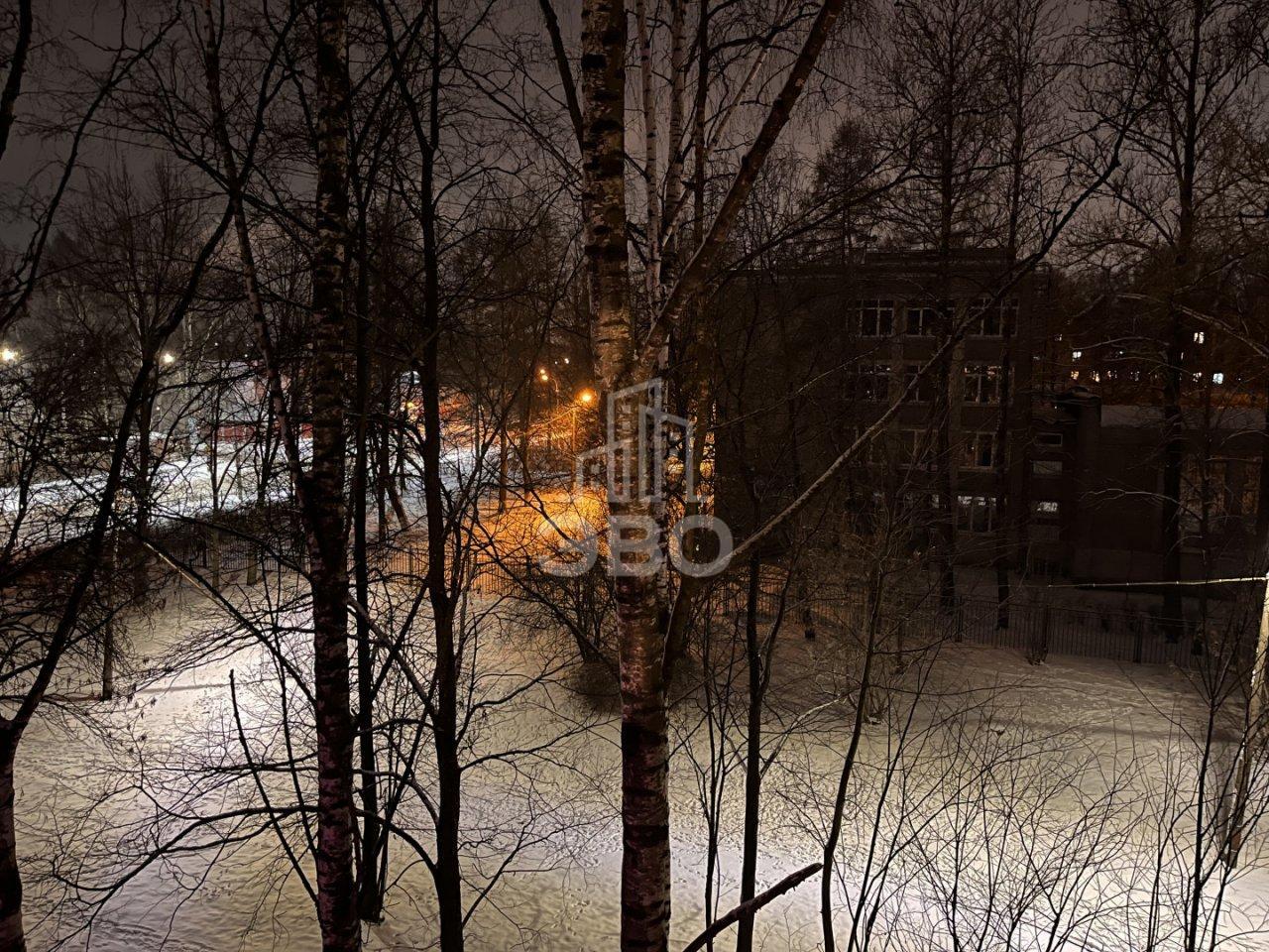 однокомнатная квартира в Санкт-Петербурге по адресу: Плановая ул., 16, к А