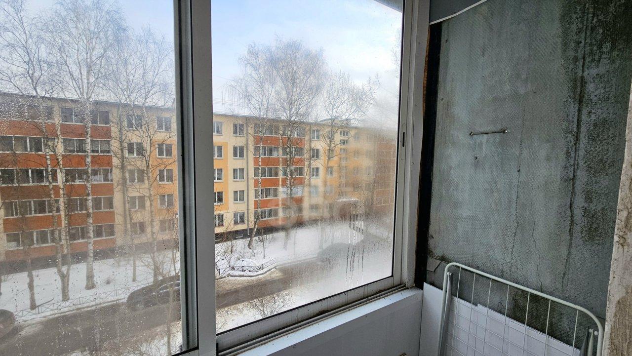 однокомнатная квартира в Санкт-Петербурге по адресу: Витебский проспект, 77