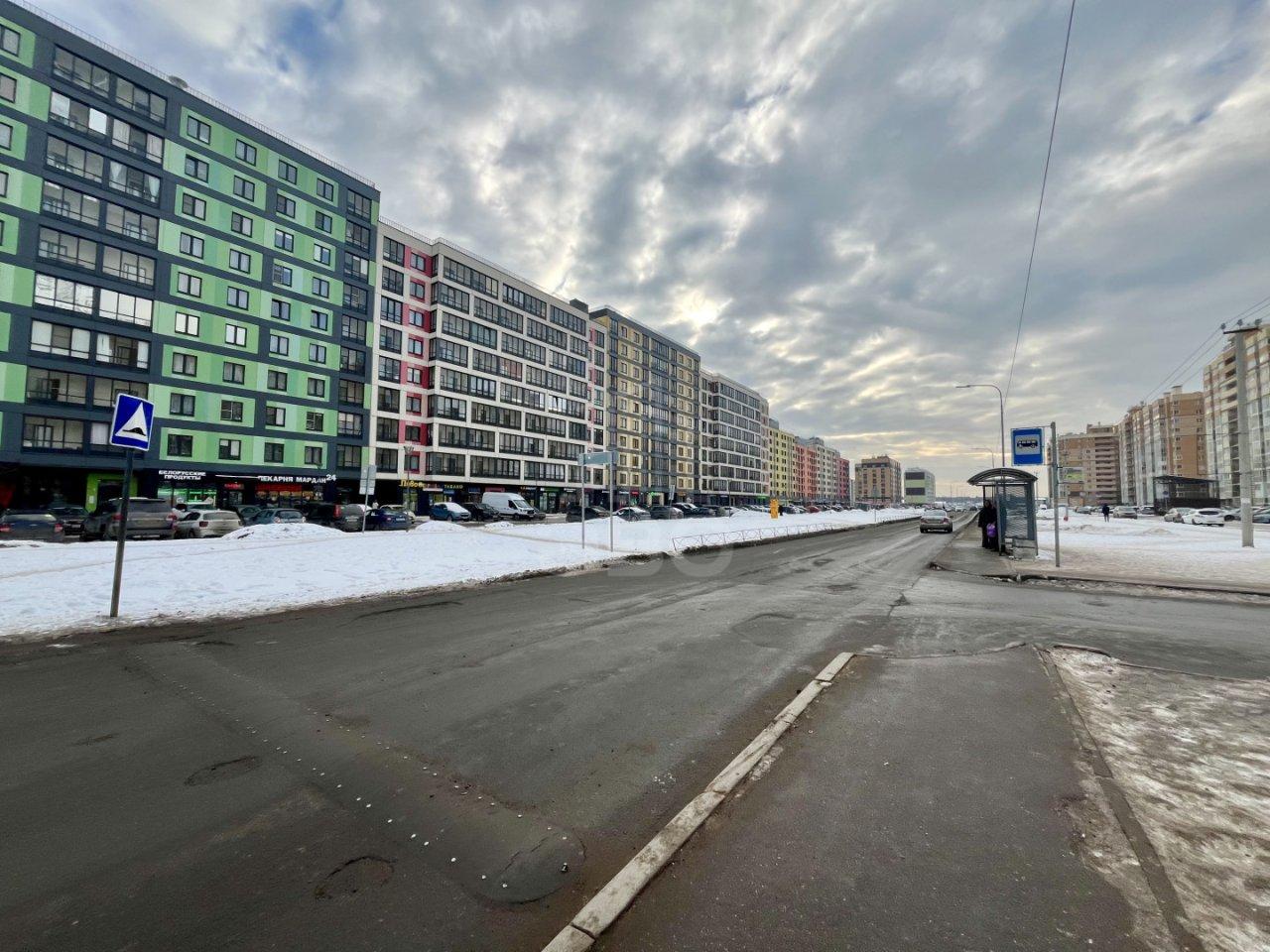 однокомнатная квартира в Ленинградской области по адресу: Тюльпанов ул., 1