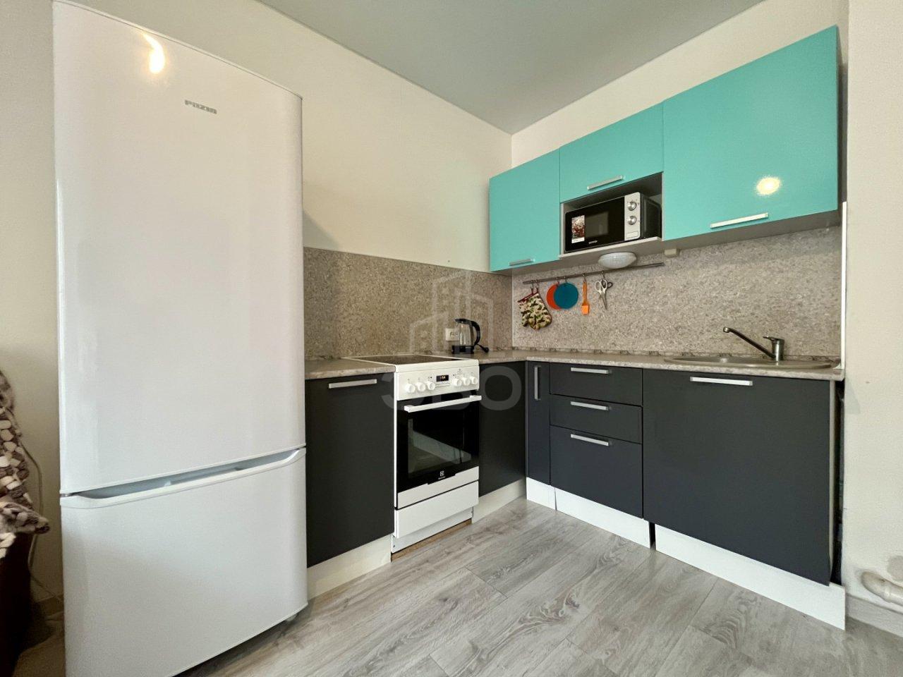 однокомнатная квартира в Ленинградской области по адресу: Тюльпанов ул., 1