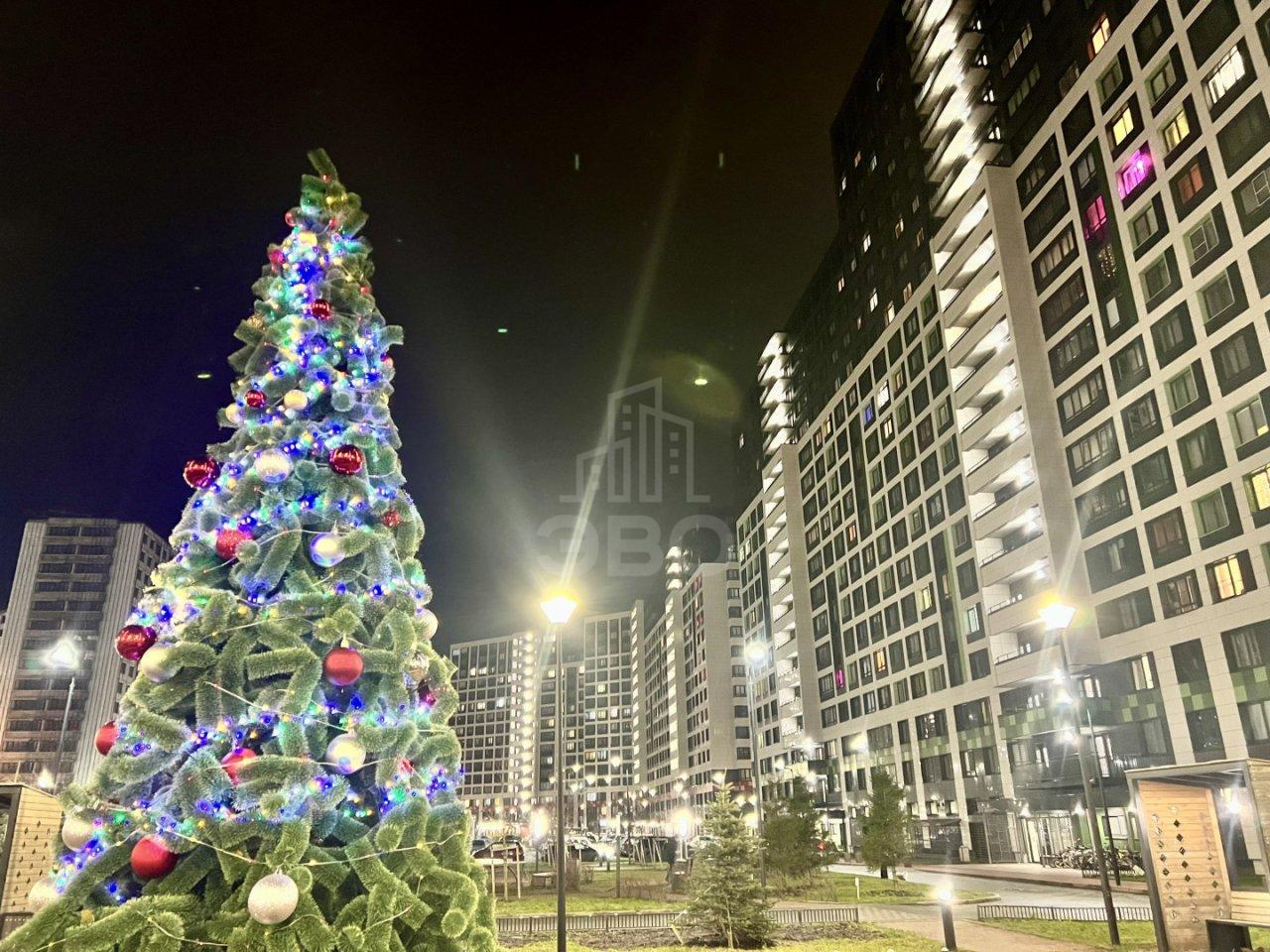 однокомнатная квартира в Ленинградской области по адресу: Екатерининская ул., 19