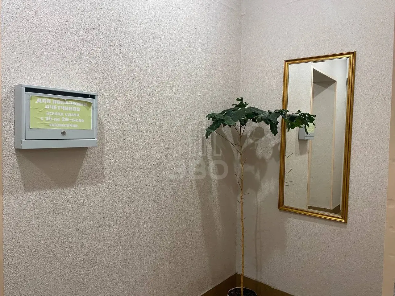 двухкомнатная квартира в Санкт-Петербурге по адресу: Ветеранов проспект, 122