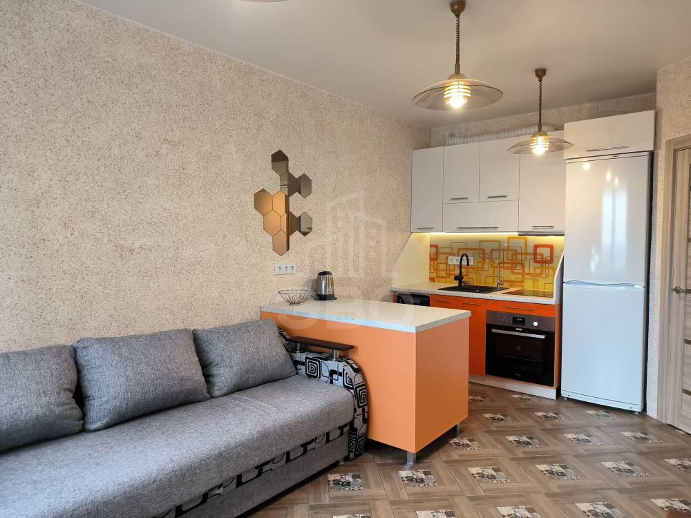 однокомнатная квартира в Санкт-Петербурге по адресу: Заводская ул., 15