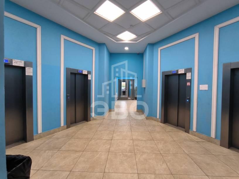 однокомнатная квартира в Санкт-Петербурге по адресу: Заводская ул., 15