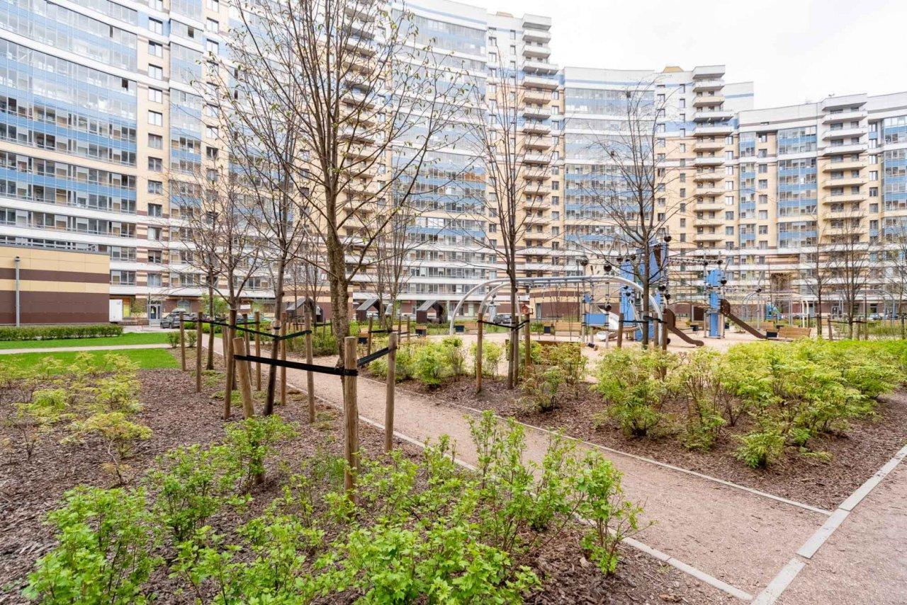 трехкомнатная квартира в Санкт-Петербурге по адресу: Богатырский проспект, 2а, строение 1