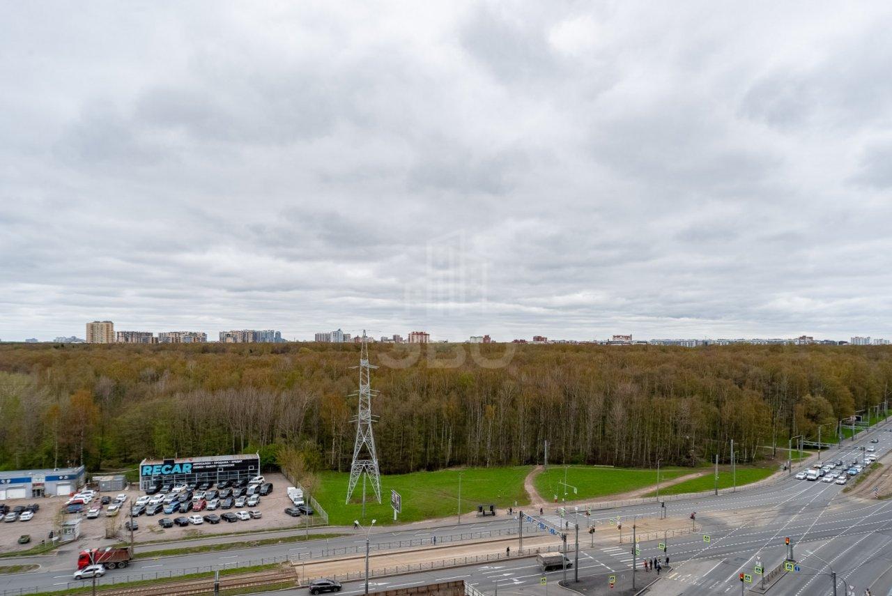 трехкомнатная квартира в Санкт-Петербурге по адресу: Богатырский проспект, 2а, строение 1