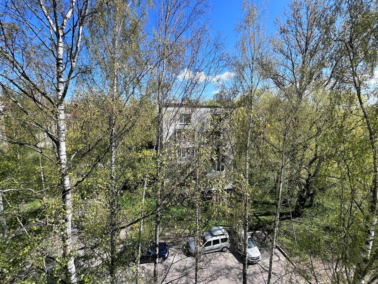 однокомнатная квартира в Санкт-Петербурге по адресу: Партизана Германа ул., 35, к 2, литера А