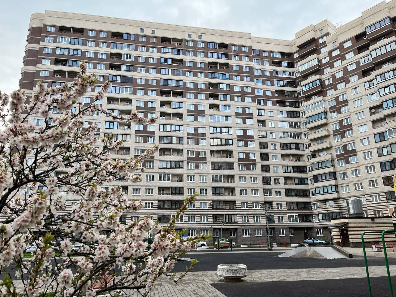 однокомнатная квартира в Санкт-Петербурге по адресу: Шоссе в Лаврики ул., 59, к 1