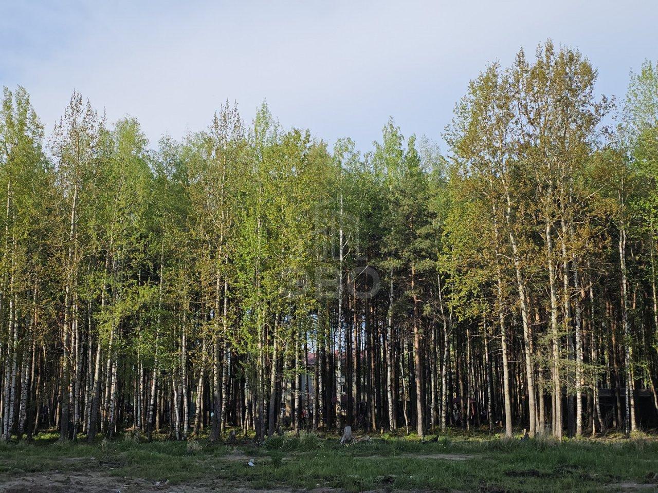 однокомнатная квартира в Санкт-Петербурге по адресу: Екатерининская ул., 23