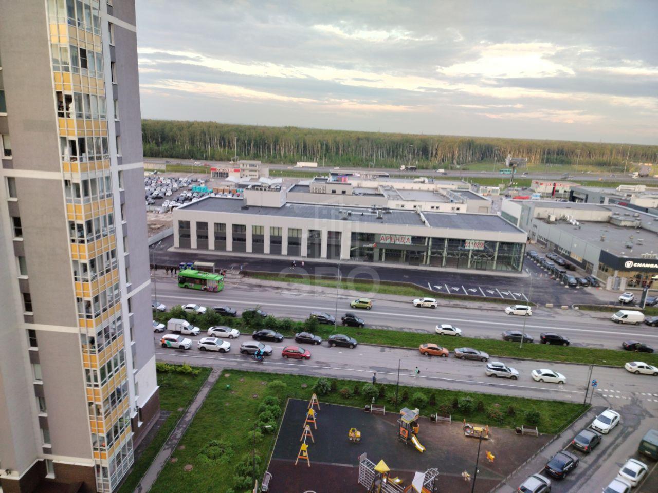 однокомнатная квартира в Санкт-Петербурге по адресу: Строителей проспект, 20, к 2