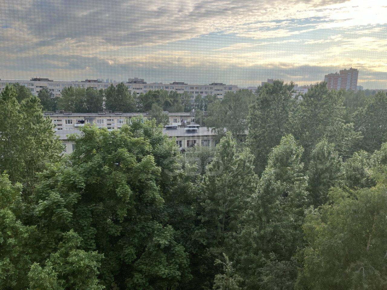 трехкомнатная квартира в Санкт-Петербурге по адресу: Турку ул., 17, к 2