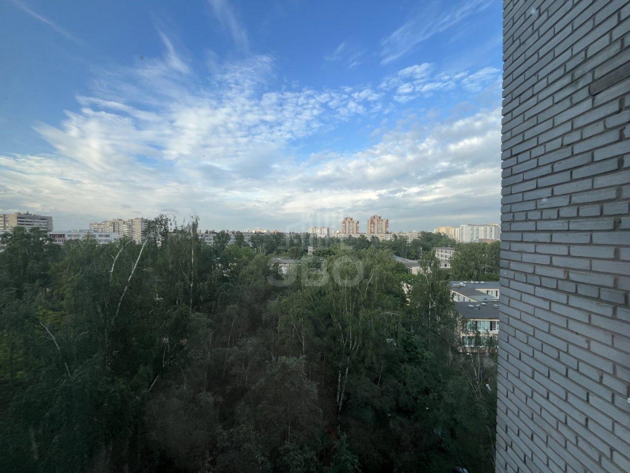 трехкомнатная квартира в Санкт-Петербурге по адресу: Турку ул., 17, к 2