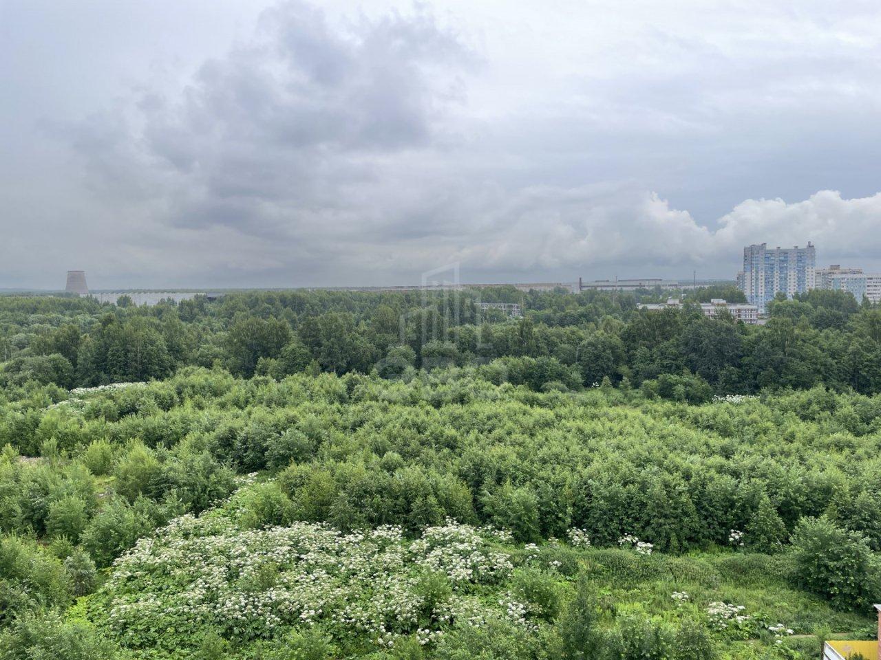 студия в Санкт-Петербурге по адресу: Шоссе в Лаврики ул., 67