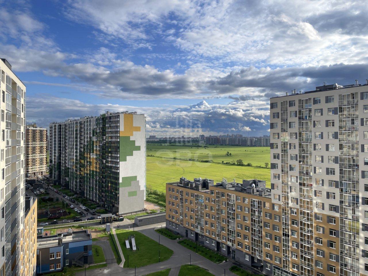 однокомнатная квартира в Санкт-Петербурге по адресу: Ручьевский проспект, 15