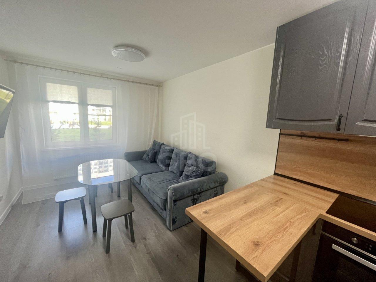 однокомнатная квартира в Санкт-Петербурге по адресу: Гаражный проезд, 23, к 2