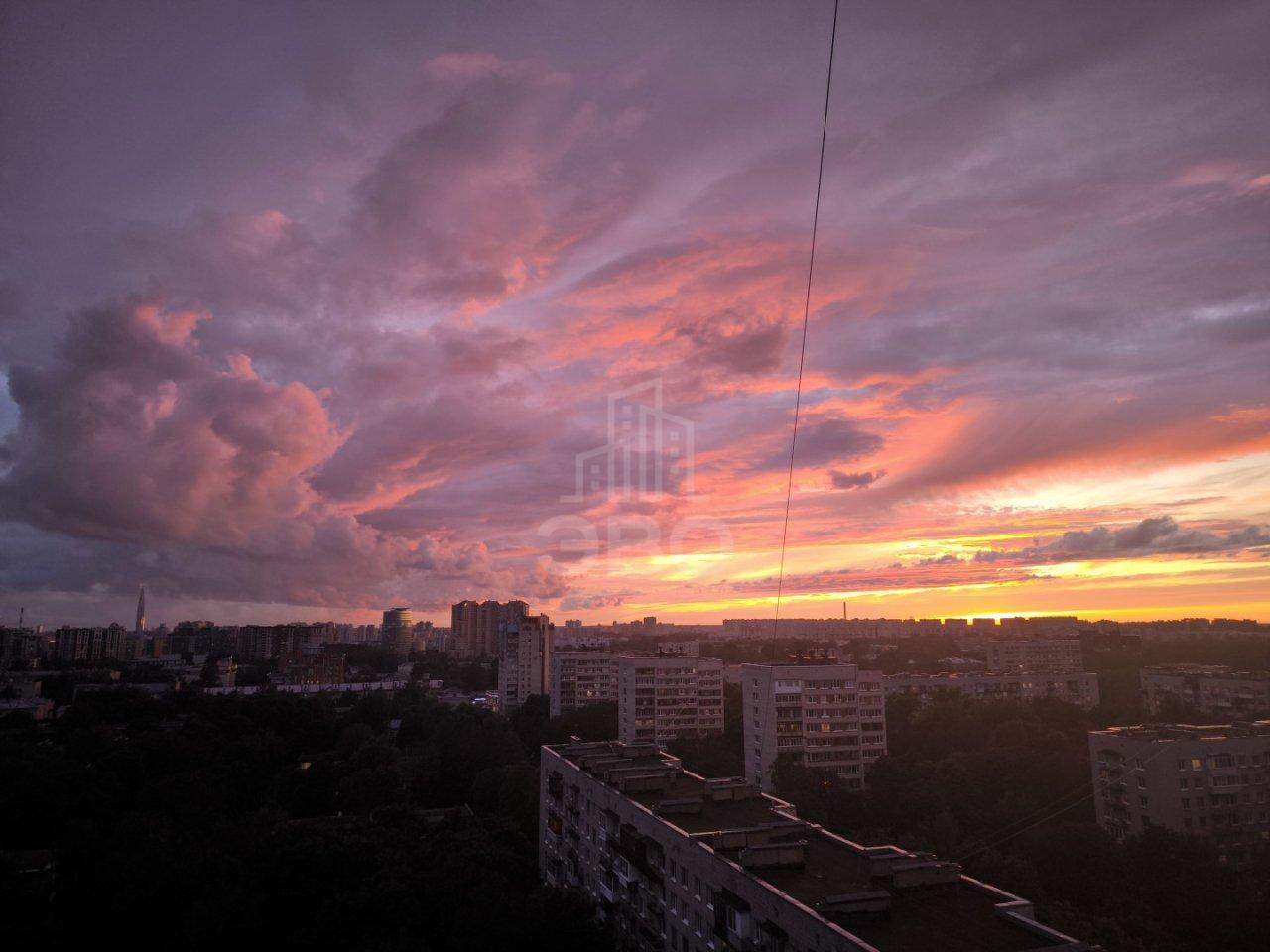 трехкомнатная квартира в Санкт-Петербурге по адресу: Гаврская ул., 15