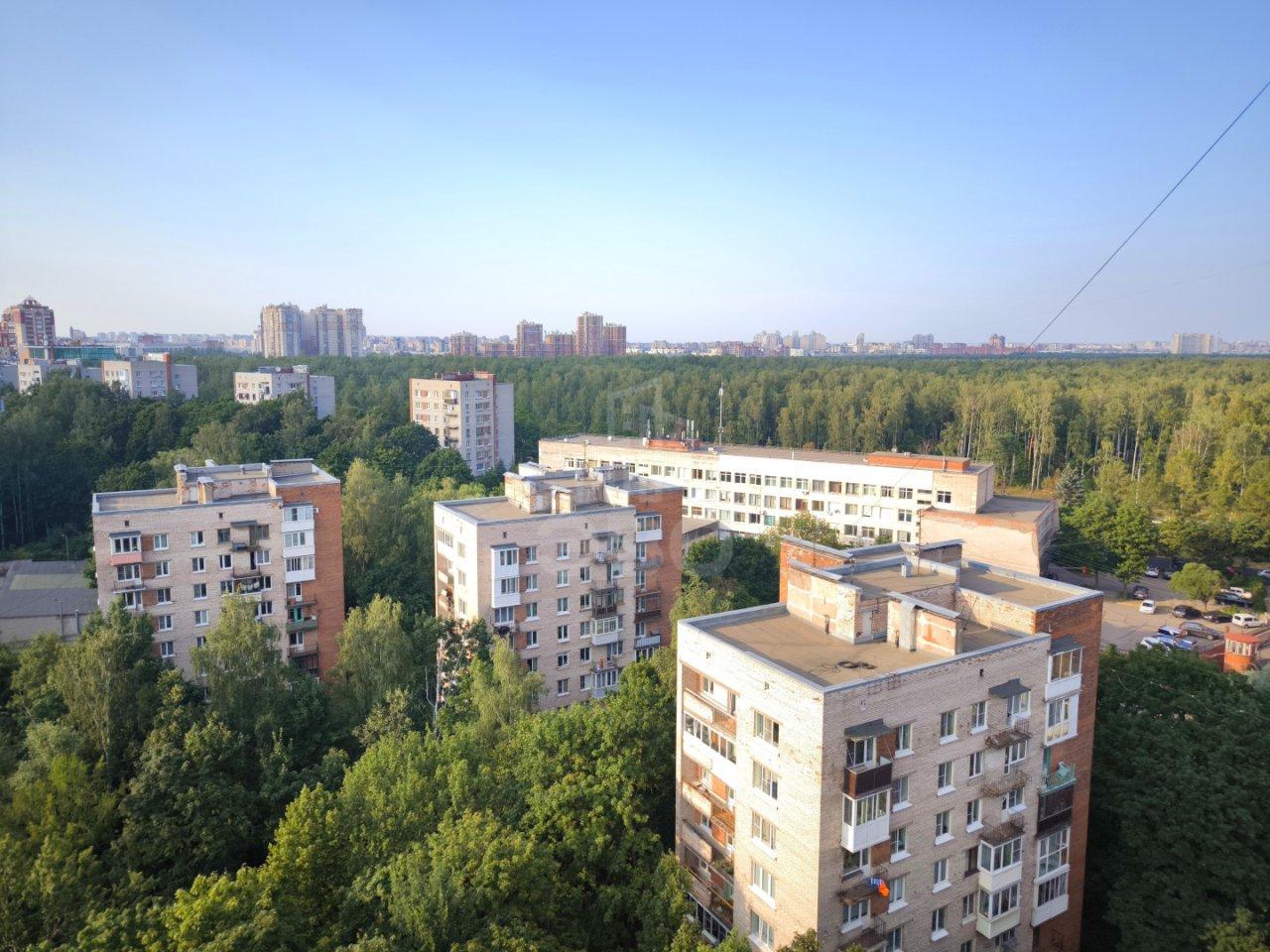 трехкомнатная квартира в Санкт-Петербурге по адресу: Гаврская ул., 15