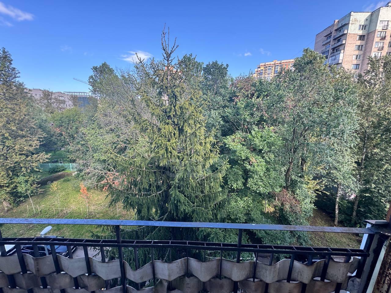 однокомнатная квартира в Санкт-Петербурге по адресу: Орджоникидзе ул., 41, к 2