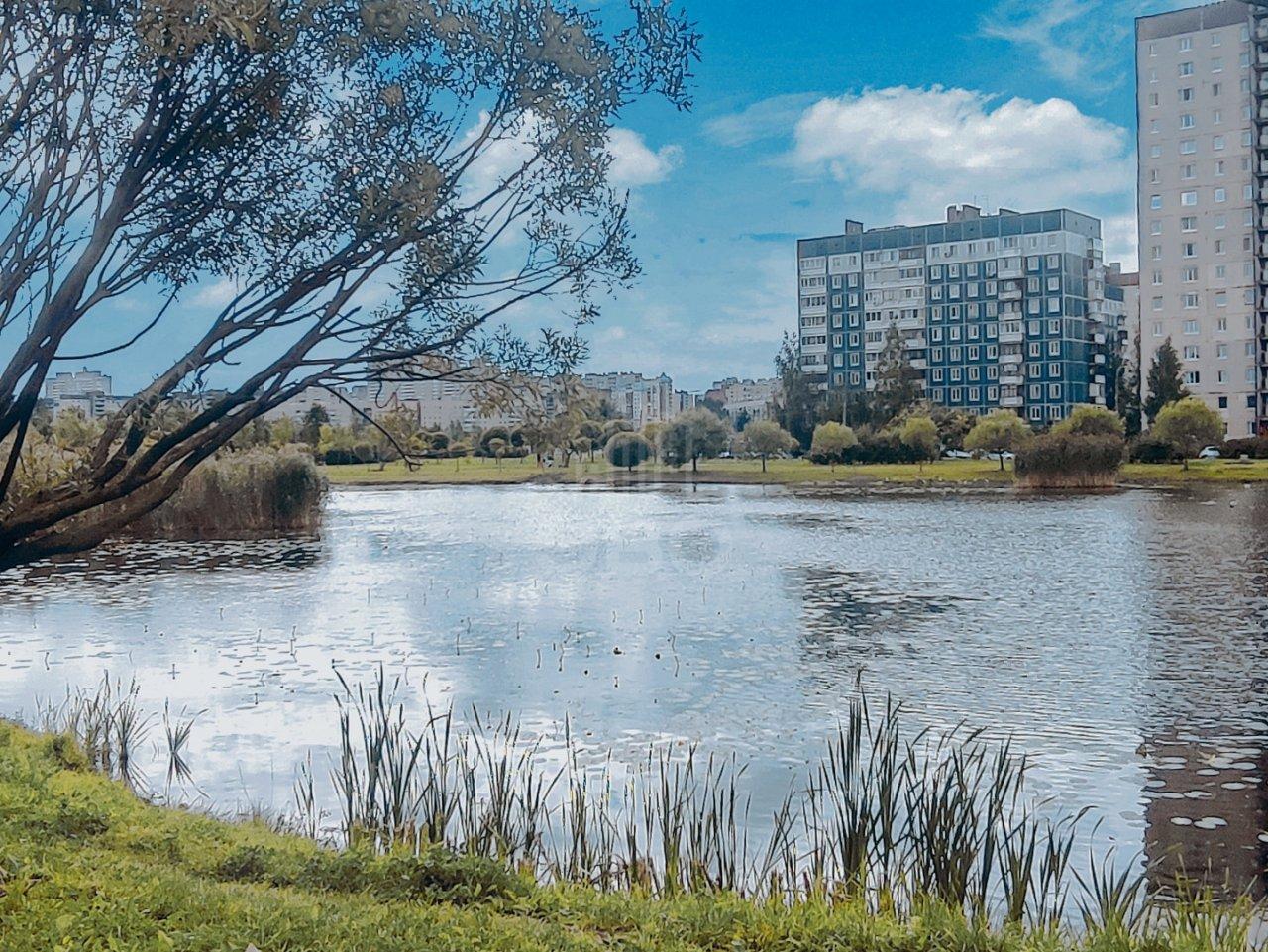 однокомнатная квартира в Санкт-Петербурге по адресу: Парашютная ул., 42, к 2