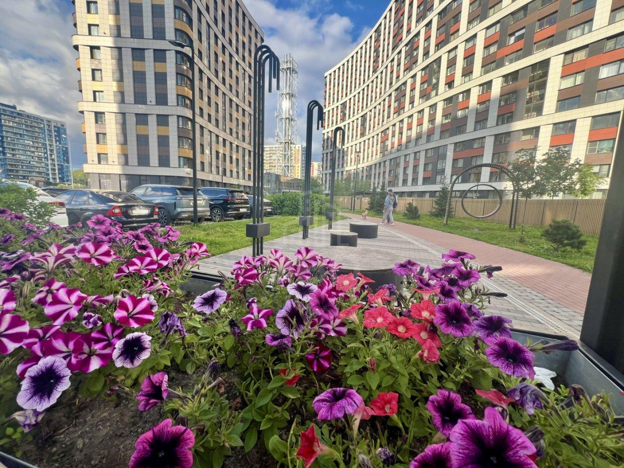 однокомнатная квартира в Ленинградской области по адресу: Екатерининская ул., 32