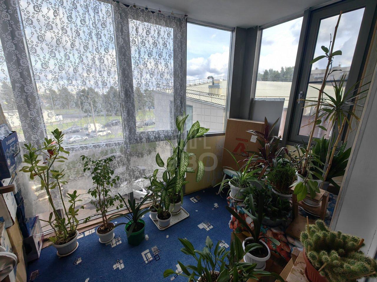 однокомнатная квартира в Санкт-Петербурге по адресу: Просвещения проспект, 99, литера А