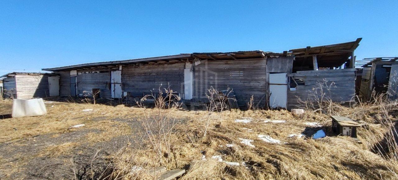 загородная недвижимость в Ленинградской области по адресу: Ленинградская область, Волосовский район, Холоповицы д., д.41, литер Б