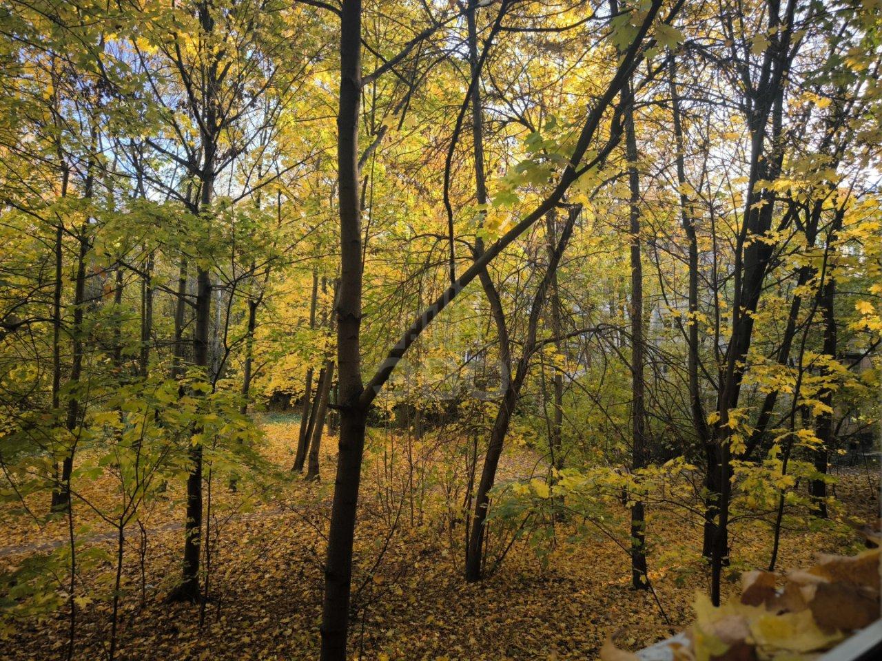 четырехкомнатная квартира в Санкт-Петербурге по адресу: Костюшко ул., 90