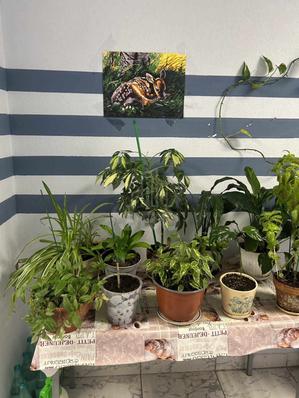 студия в Санкт-Петербурге по адресу: Катерников ул., 7