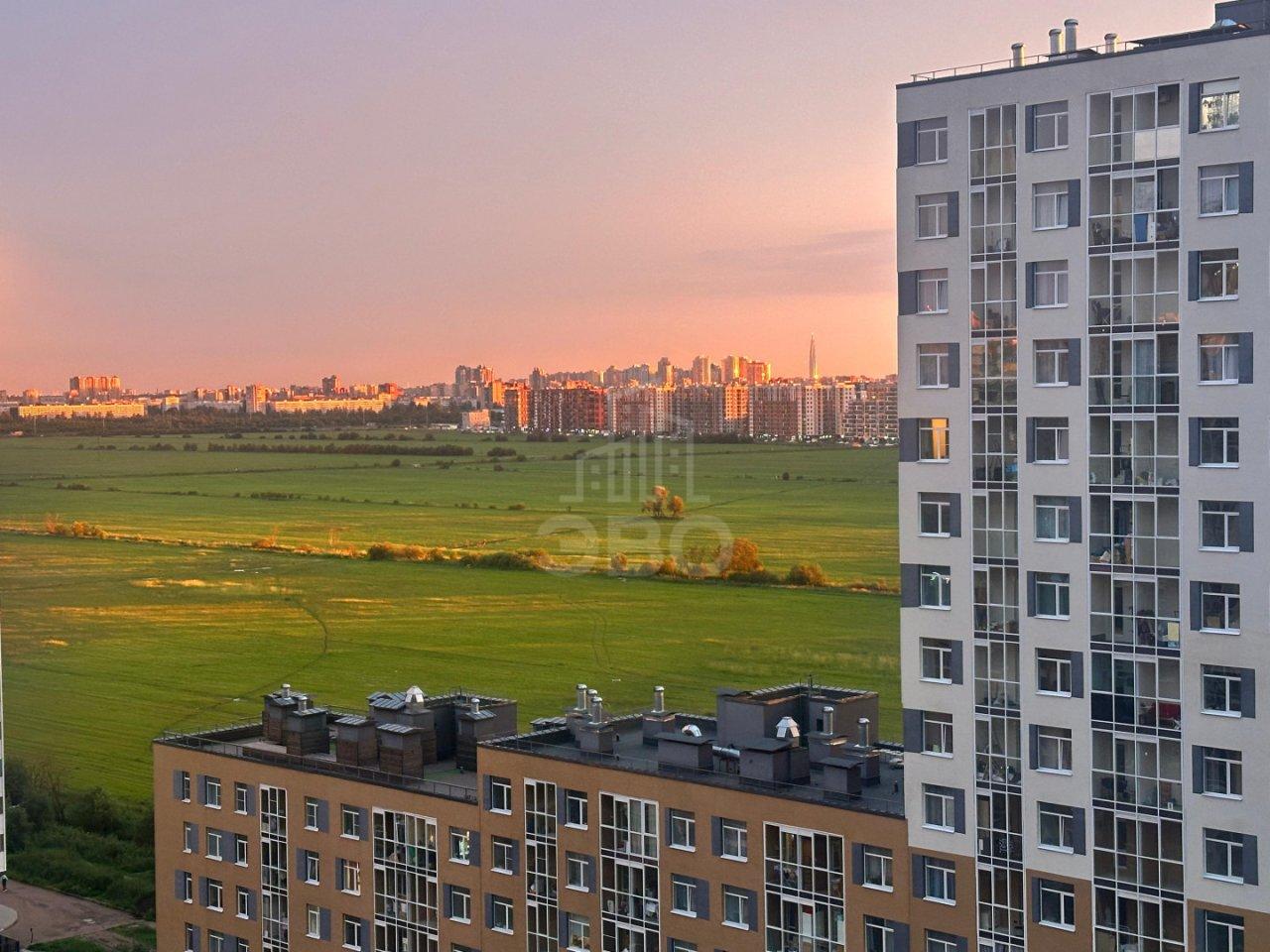 однокомнатная квартира в Санкт-Петербурге по адресу: Ручьевский проспект, 15