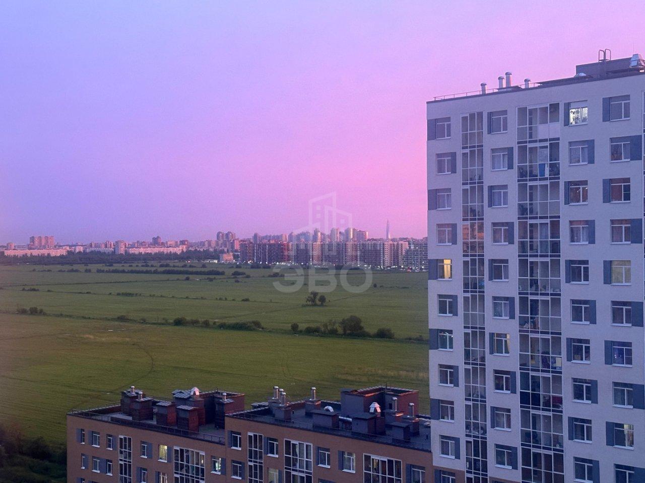 однокомнатная квартира в Санкт-Петербурге по адресу: Ручьевский проспект, 15