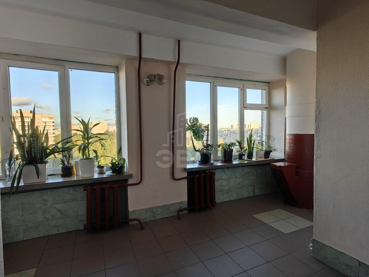 однокомнатная квартира в Санкт-Петербурге по адресу: Дальневосточный проспект, 36, литера Х