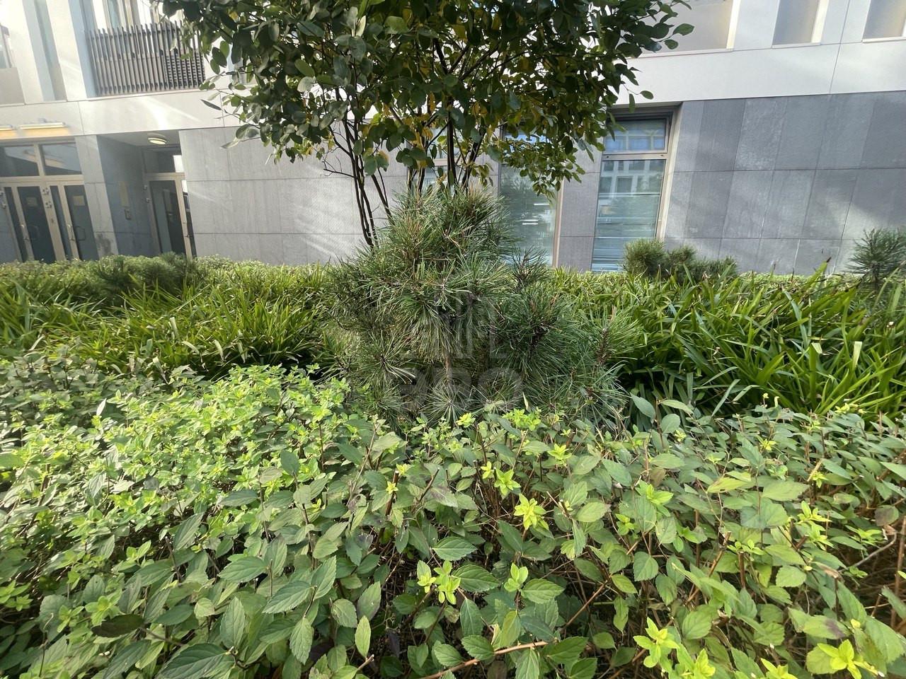 однокомнатная квартира в Санкт-Петербурге по адресу: Челюскина ул., 2, к 1