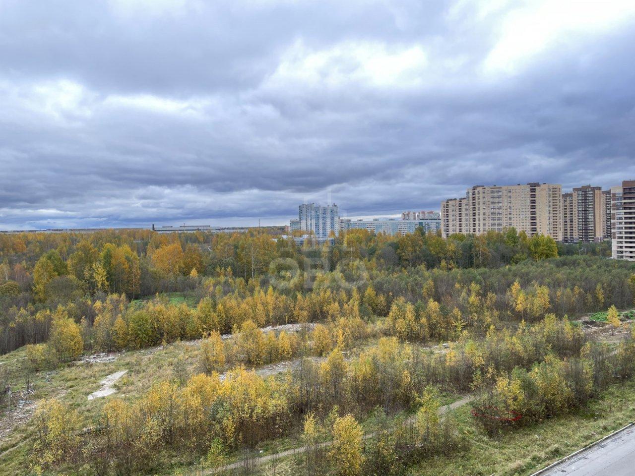 студия в Ленинградской области по адресу: Шоссе в Лаврики ул., 67