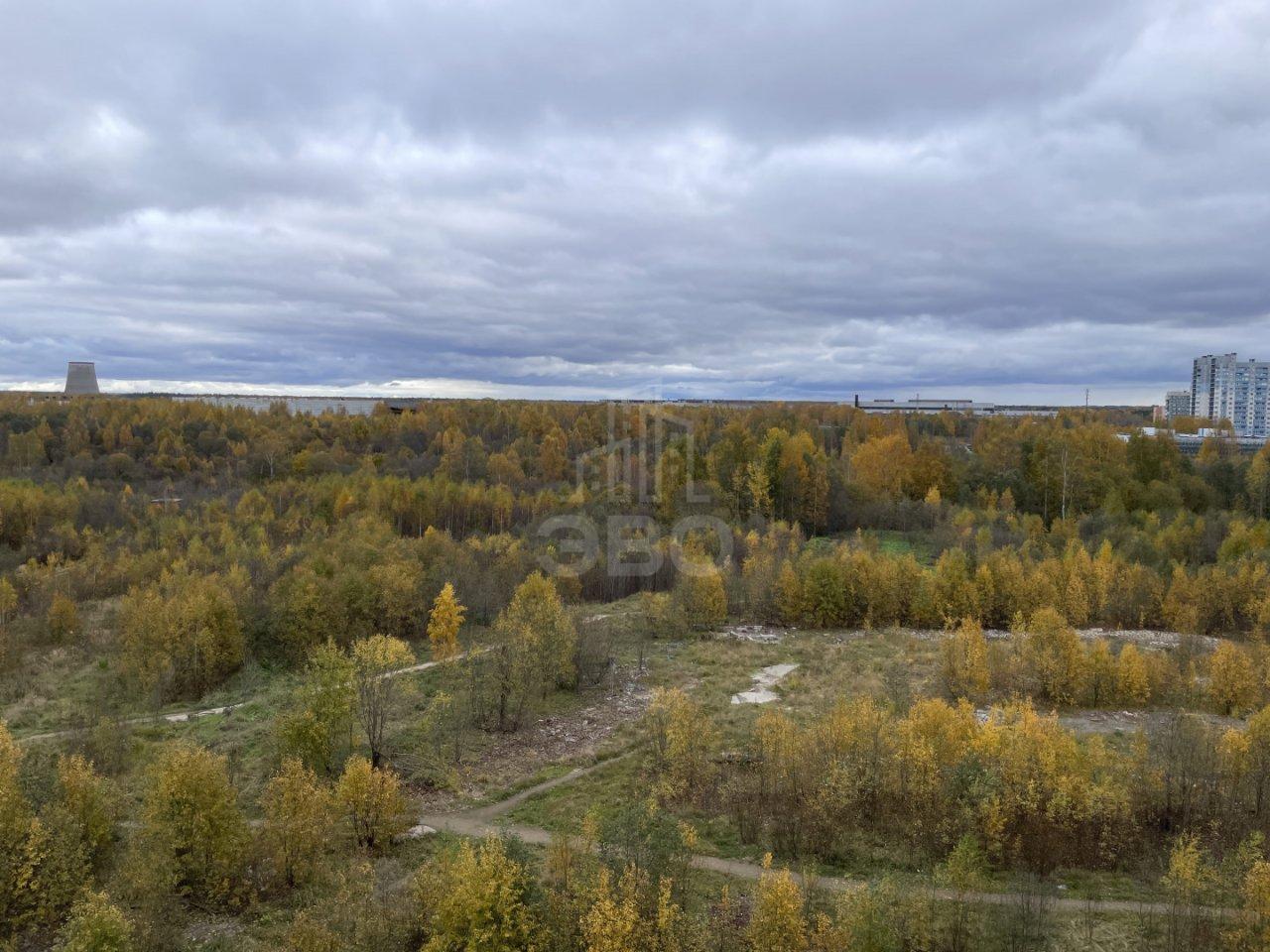 студия в Ленинградской области по адресу: Шоссе в Лаврики ул., 67