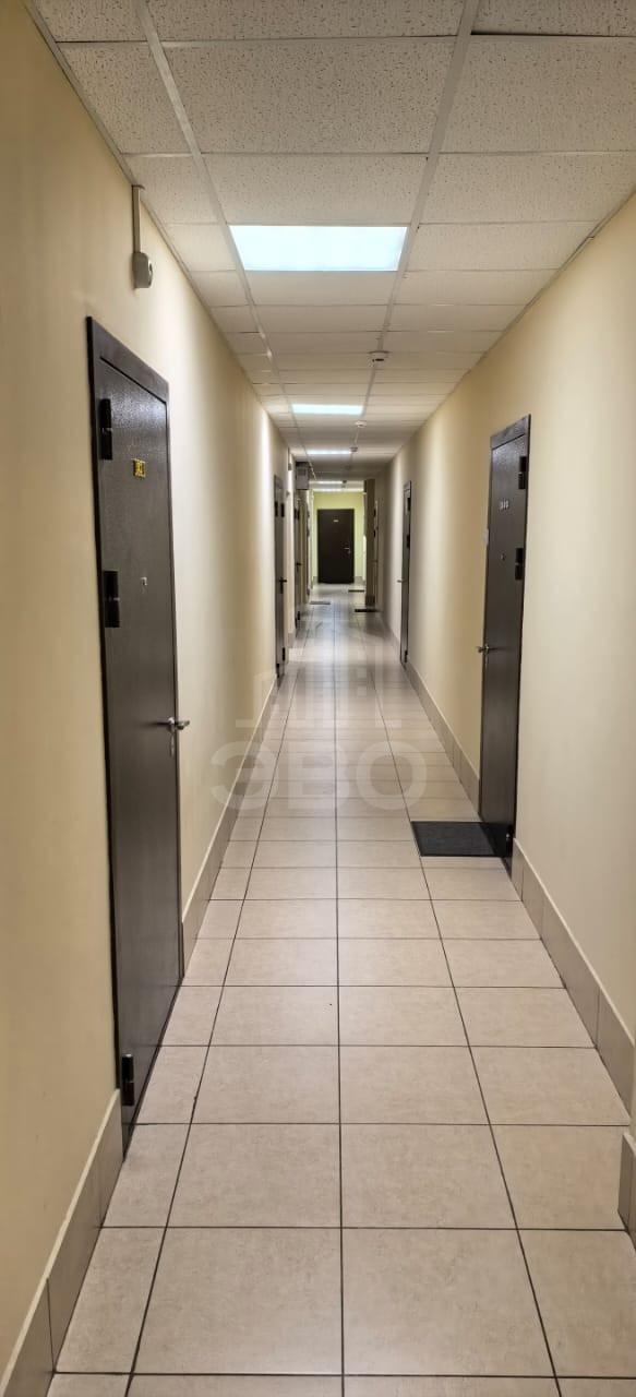 однокомнатная квартира в Санкт-Петербурге по адресу: Областная ул., 1