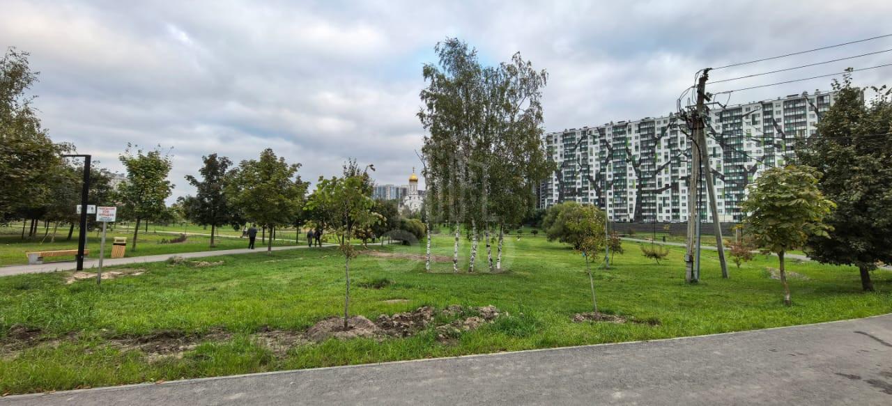 однокомнатная квартира в Санкт-Петербурге по адресу: Областная ул., 1