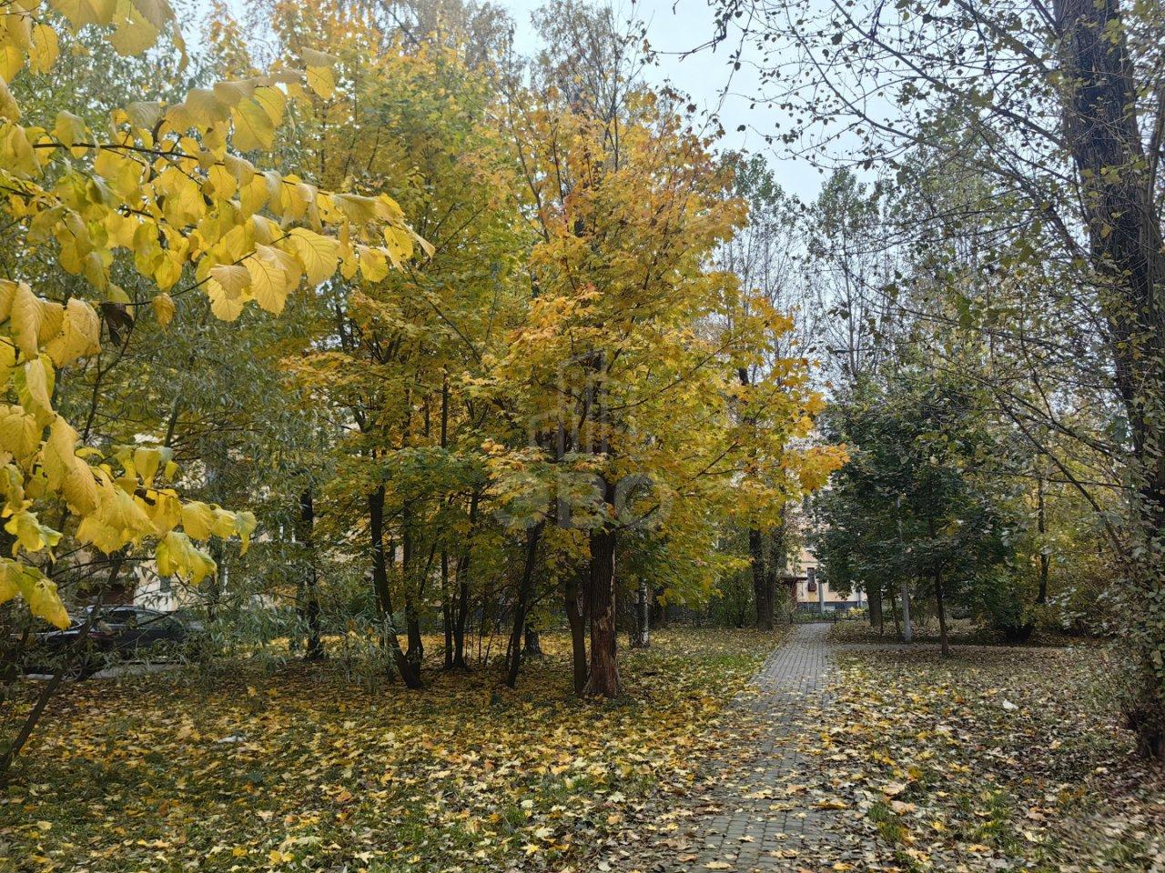 трехкомнатная квартира в Санкт-Петербурге по адресу: Новаторов б-р., 62