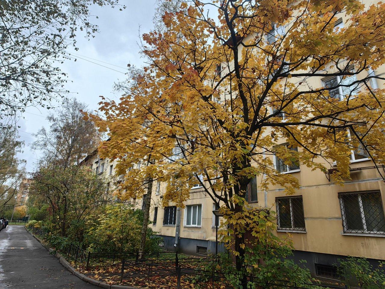 трехкомнатная квартира в Санкт-Петербурге по адресу: Новаторов б-р., 62