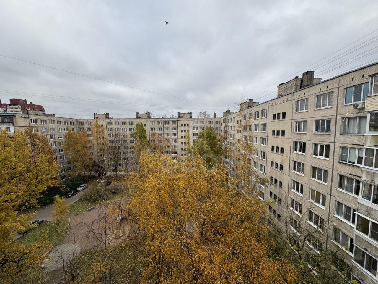 однокомнатная квартира в Санкт-Петербурге по адресу: Искровский проспект, 26, литера Б