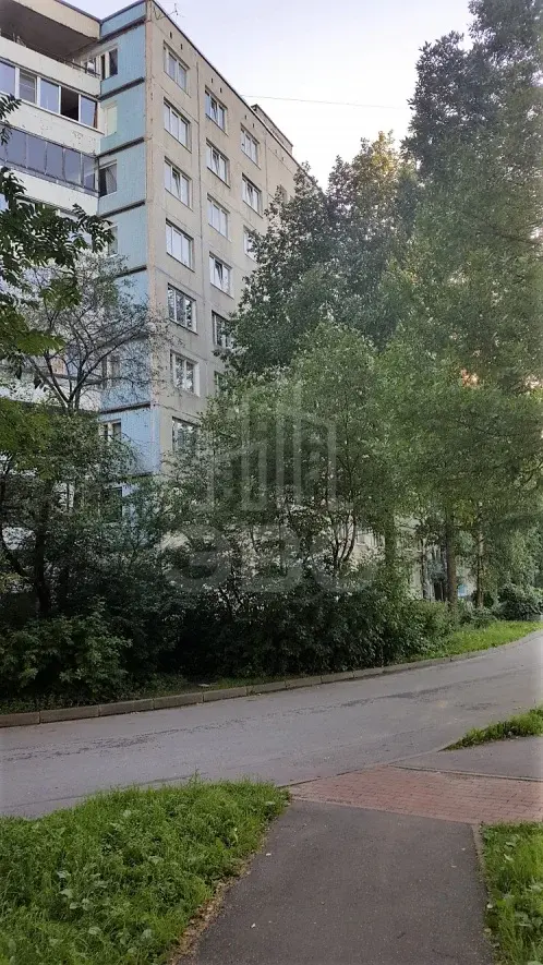 однокомнатная квартира в Санкт-Петербурге по адресу: Солидарности пр-кт., 12, к.2
