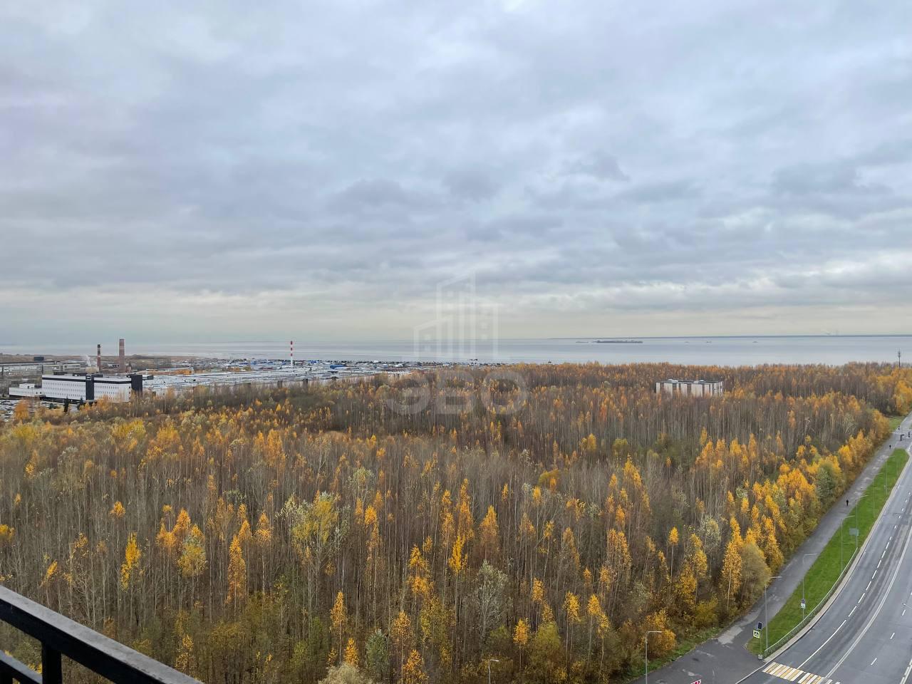 однокомнатная квартира в Санкт-Петербурге по адресу: Адмирала Черокова ул., 18, к 1