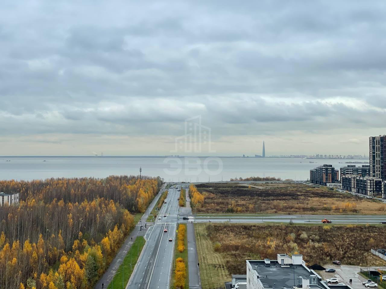 однокомнатная квартира в Санкт-Петербурге по адресу: Адмирала Черокова ул., 18, к 1