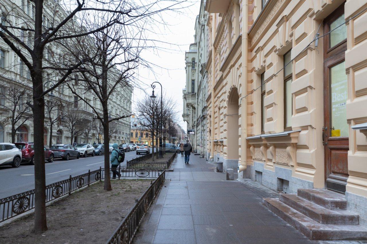 однокомнатная квартира в Санкт-Петербурге по адресу: Пушкинская ул., 17